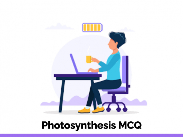 Photosynthesis MCQ
