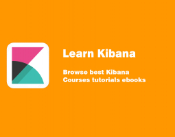 Learn Kibana