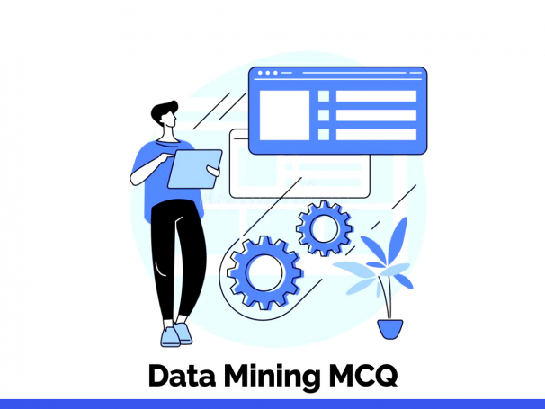 Data Mining MCQ