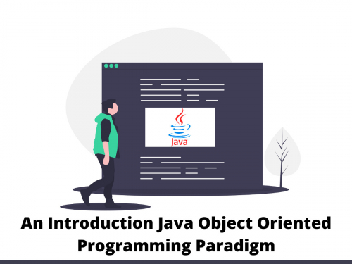 An Introduction Java Object Oriented Programming Paradigm