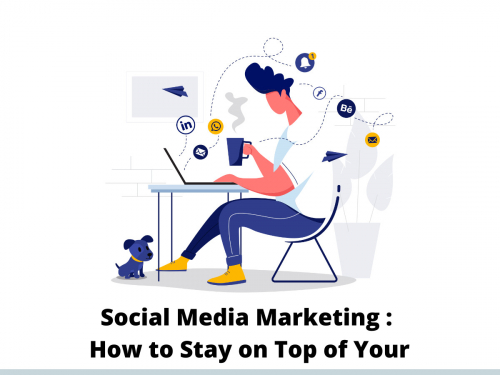 Social Media Marketing : How to Stay on Top of Your