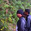 Prithvi Raj